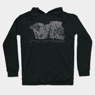 Little Cottonwood Canyon 3D Hoodie